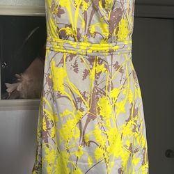 The Limited Women’s Dress Size 4 