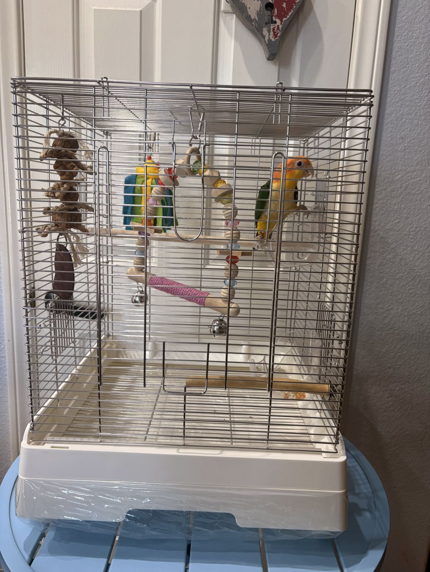 Stainless BIRDCAGE bird cage