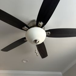 Ceiling Fan 