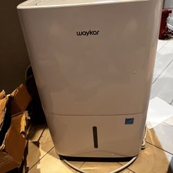 Waykar Dehumidifier 