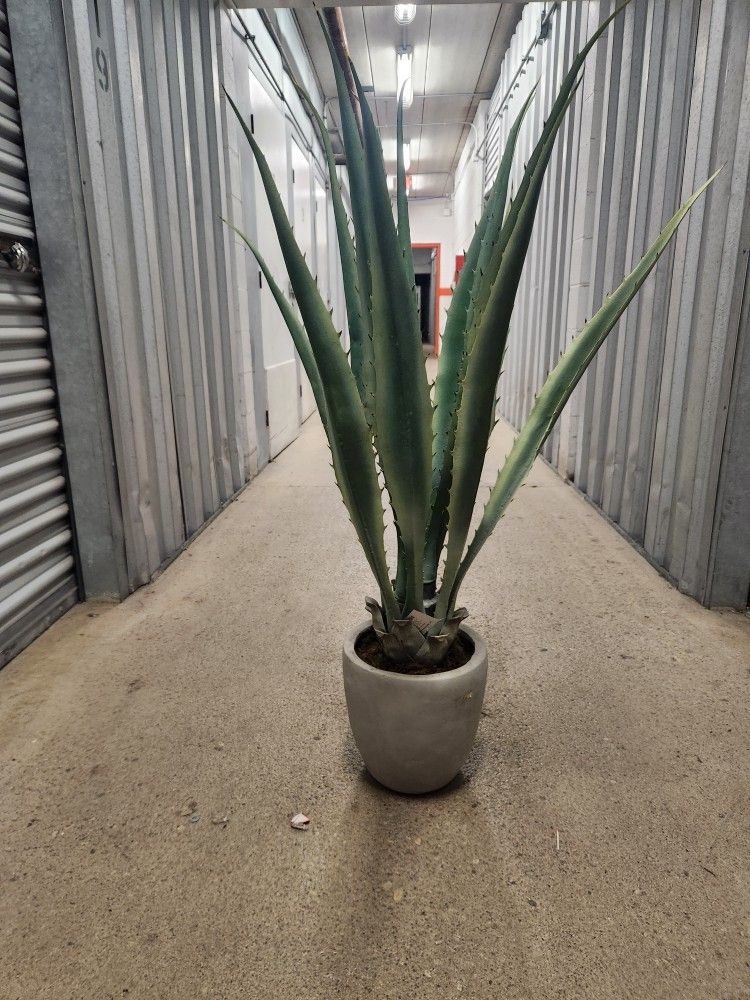 Fake Decorative Plant