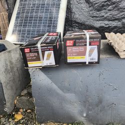 Coillated Framing Nails Grip Rite