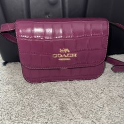 Coach dark Berry Mini Crossbody Bag 