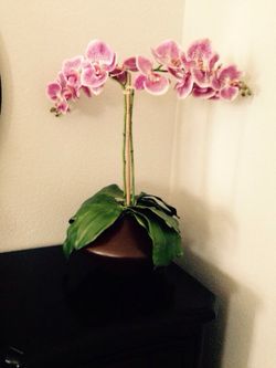 Nice vase