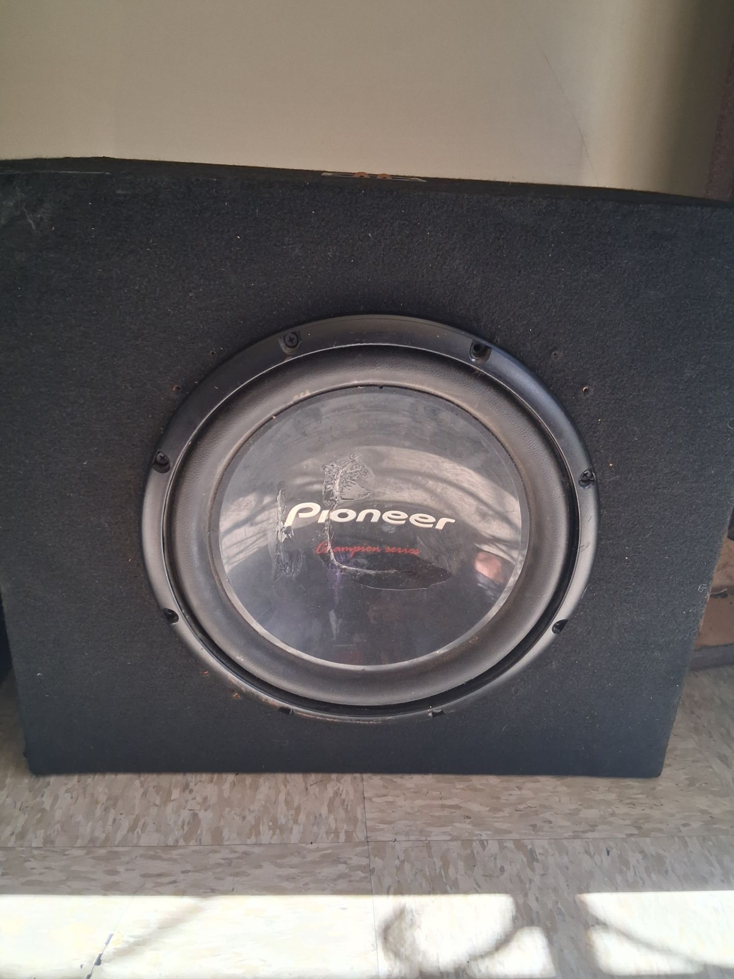 12" Subwoofer Box