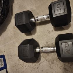 40lb Dumbbells