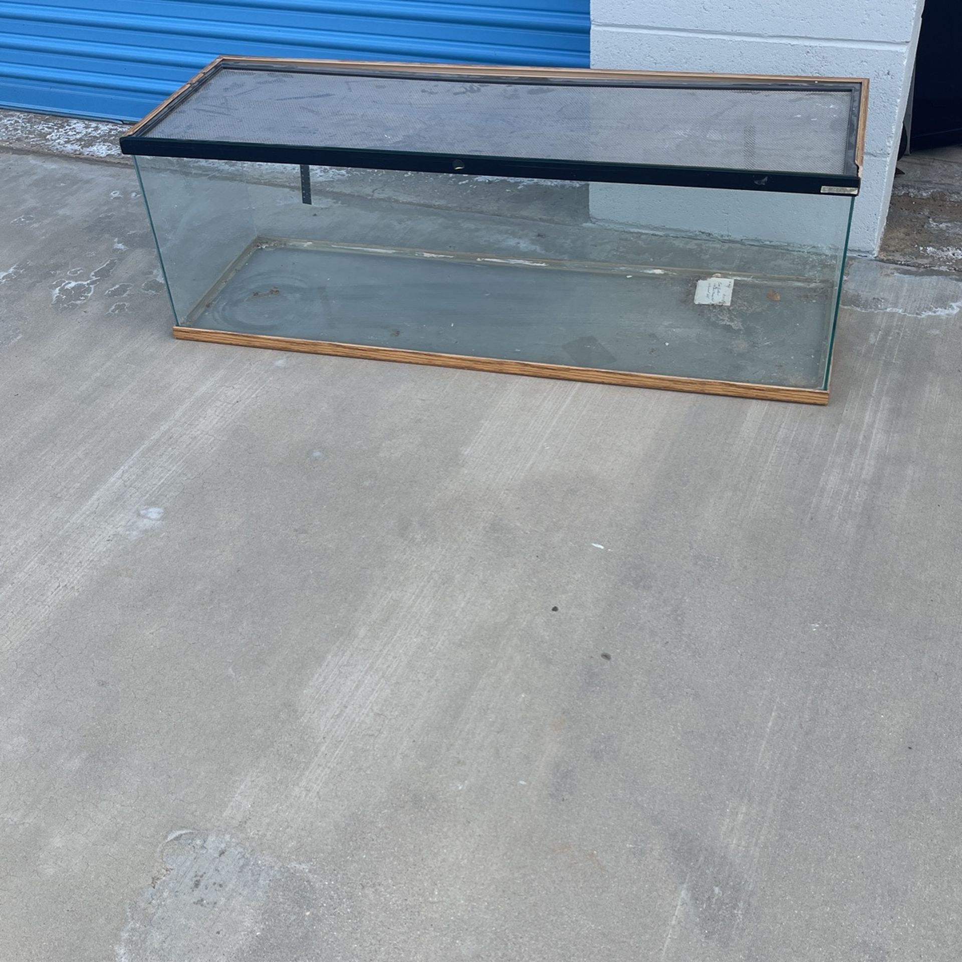 Reptile Aquarium
