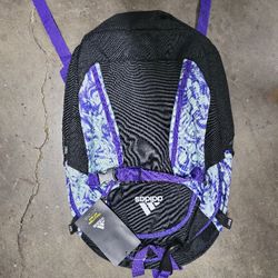 Nice bag back