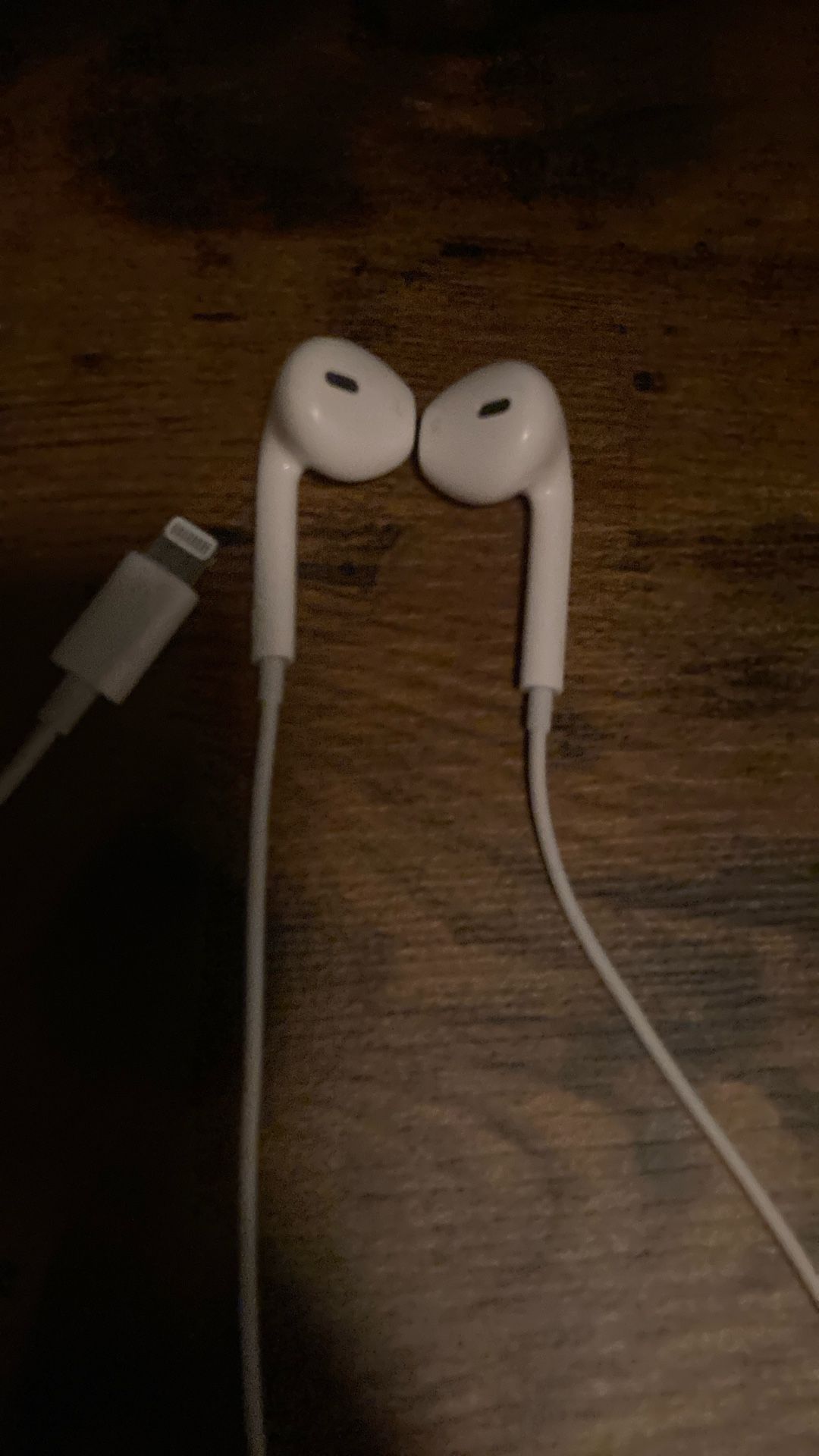Apple Headphones (Corded)