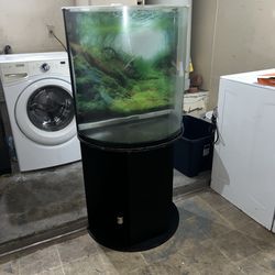 Unique Half-Moon Glass Fish Tank + Matching Black Stand