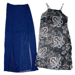 Sheer Top & Skirt Sz Small (2 Seperate Pieces)