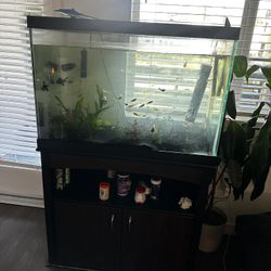 Fish Tank 65 gallon & Stand 