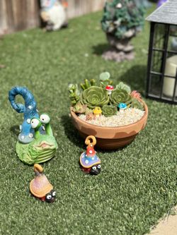 Succulent Arrangements