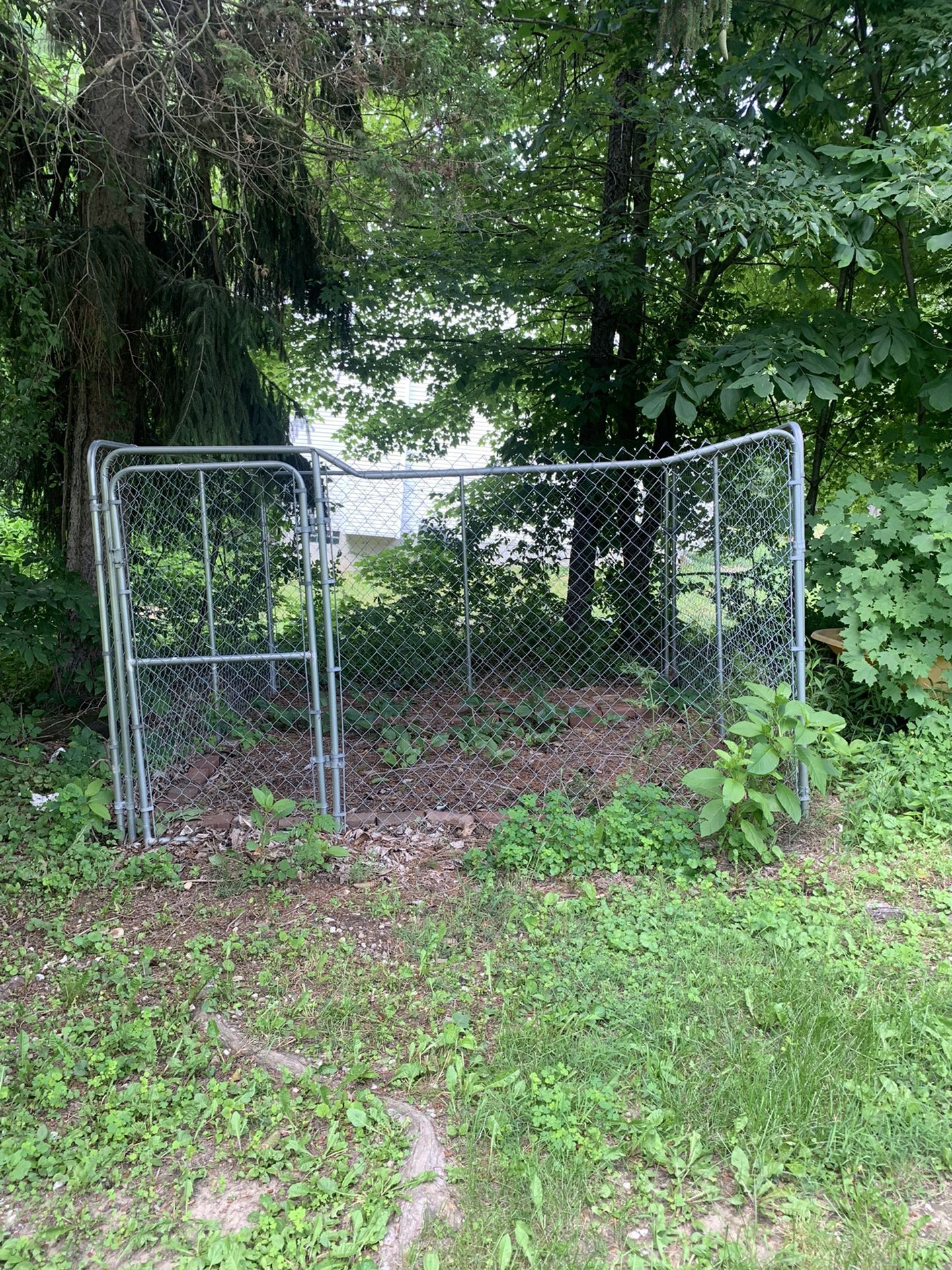 Kennel $100