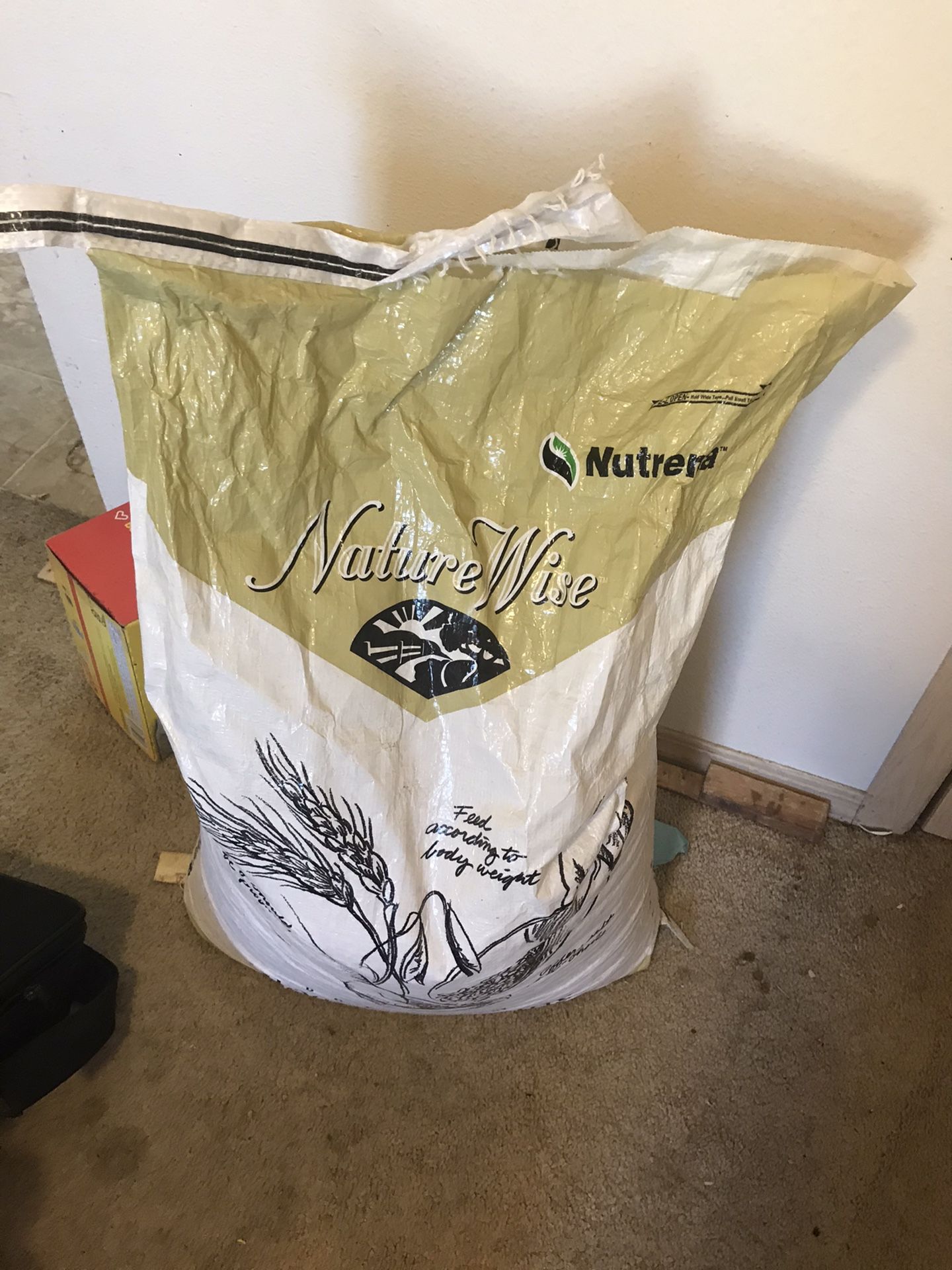 Grain for Brewing