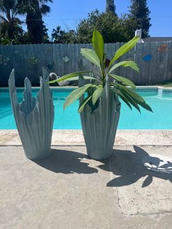 Rustic pot of peaks