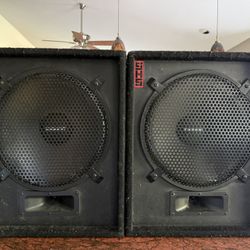 Passive Monitor Speakers
