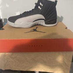 Air Jordan Retro 12 