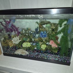 Fish Tank