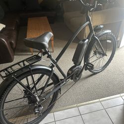 Electra townie Go! step thru pedal assist e-bike 