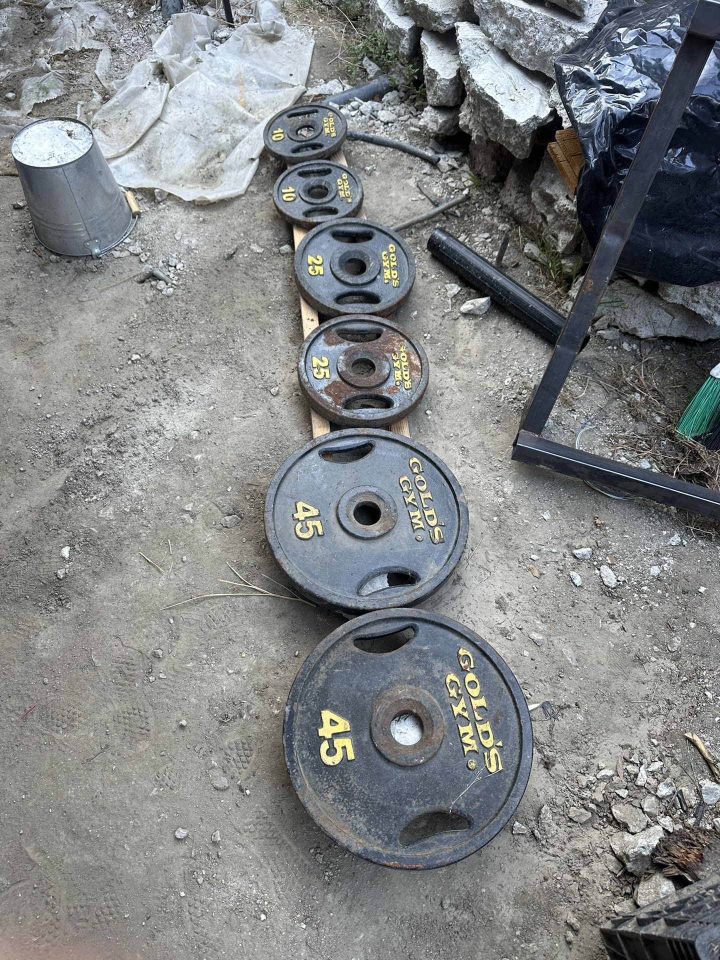 Golds Gym Weight Plate Set