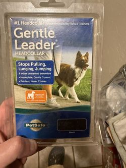 Dog Leash