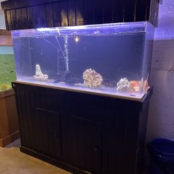 125 Gallon Fish Tank Acrylic 