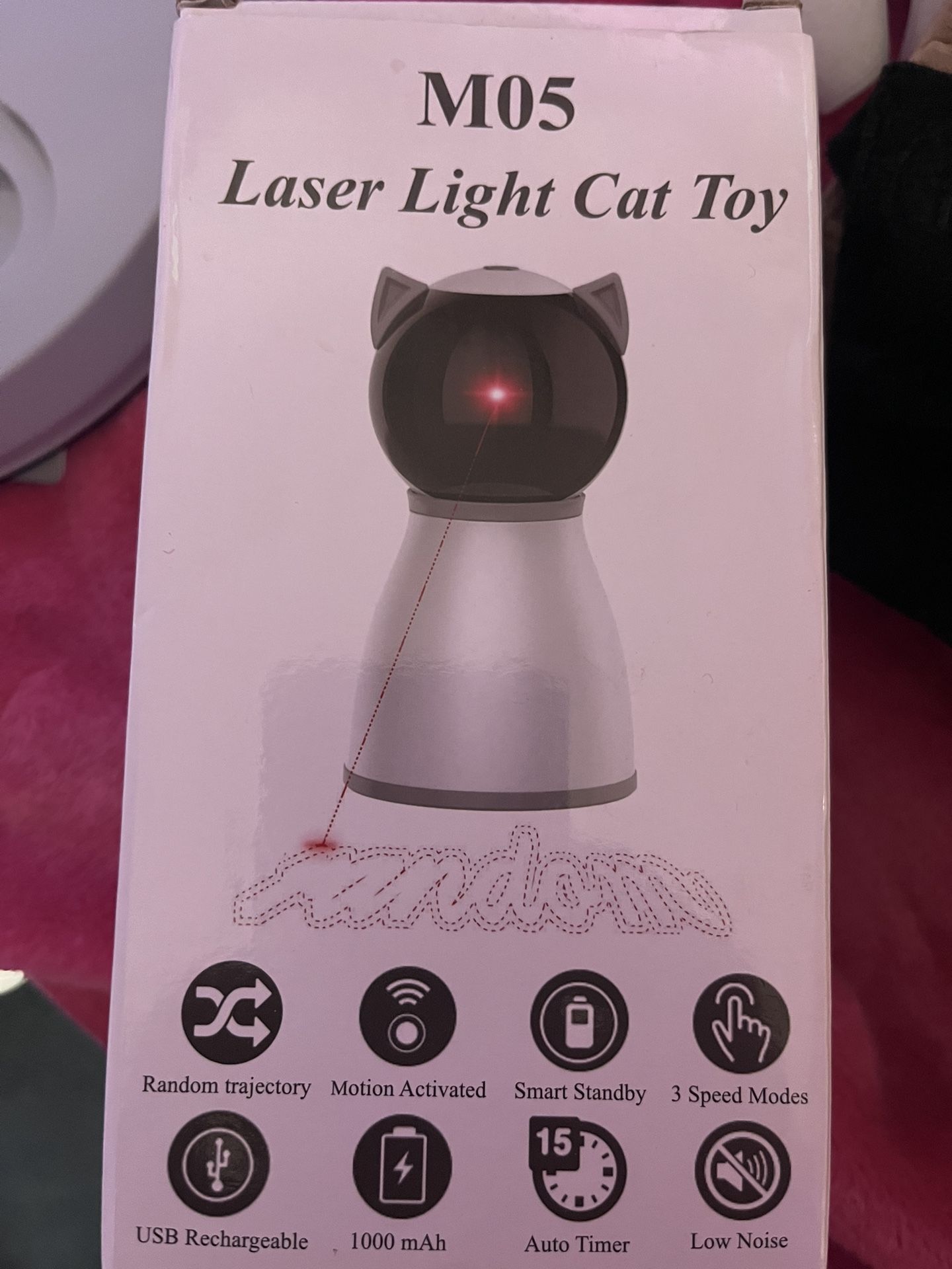 Kitty Laser Light Play Time