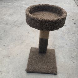 Cat Play / Bed