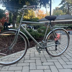 ⭐️🔥 Beautiful Chrome Bike For Tall Person