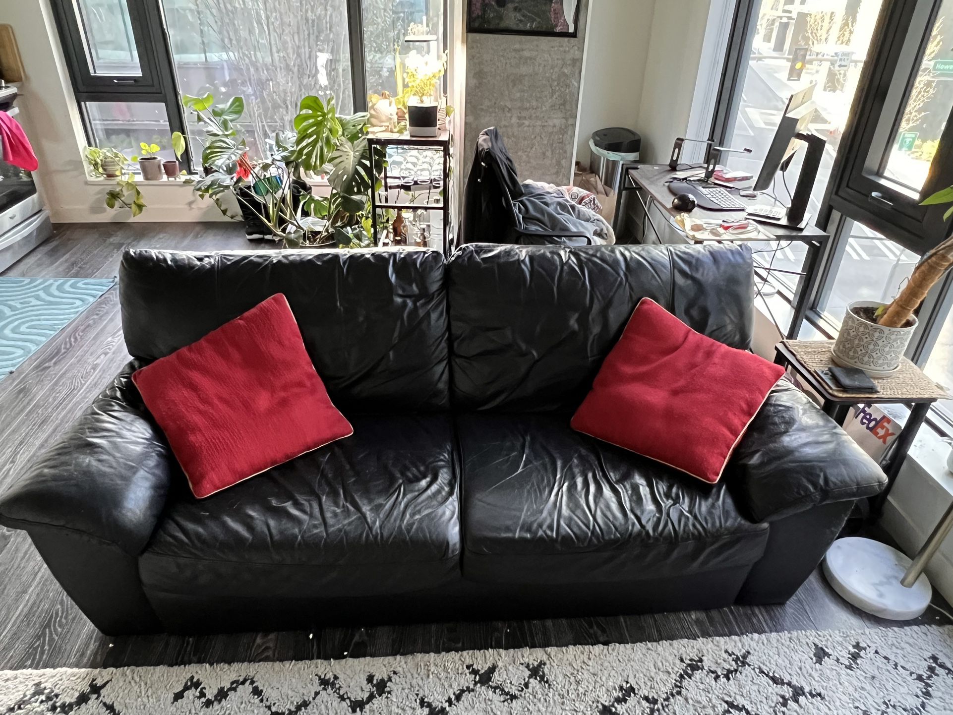 Move Out Sale - Couch and Rug