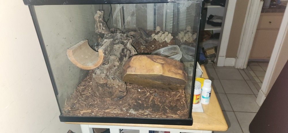 Big Reptile Tank