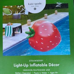 Strawberry Pool Decor