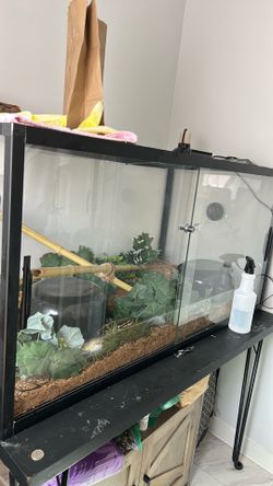 120 Gallon Tank