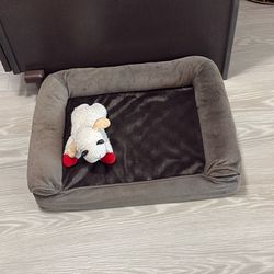 Dog Bed small 