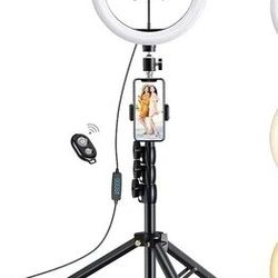 Ring Fill Light  F532