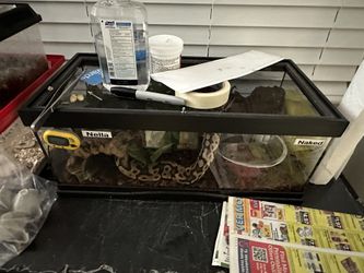 Snake Tank With Lock 