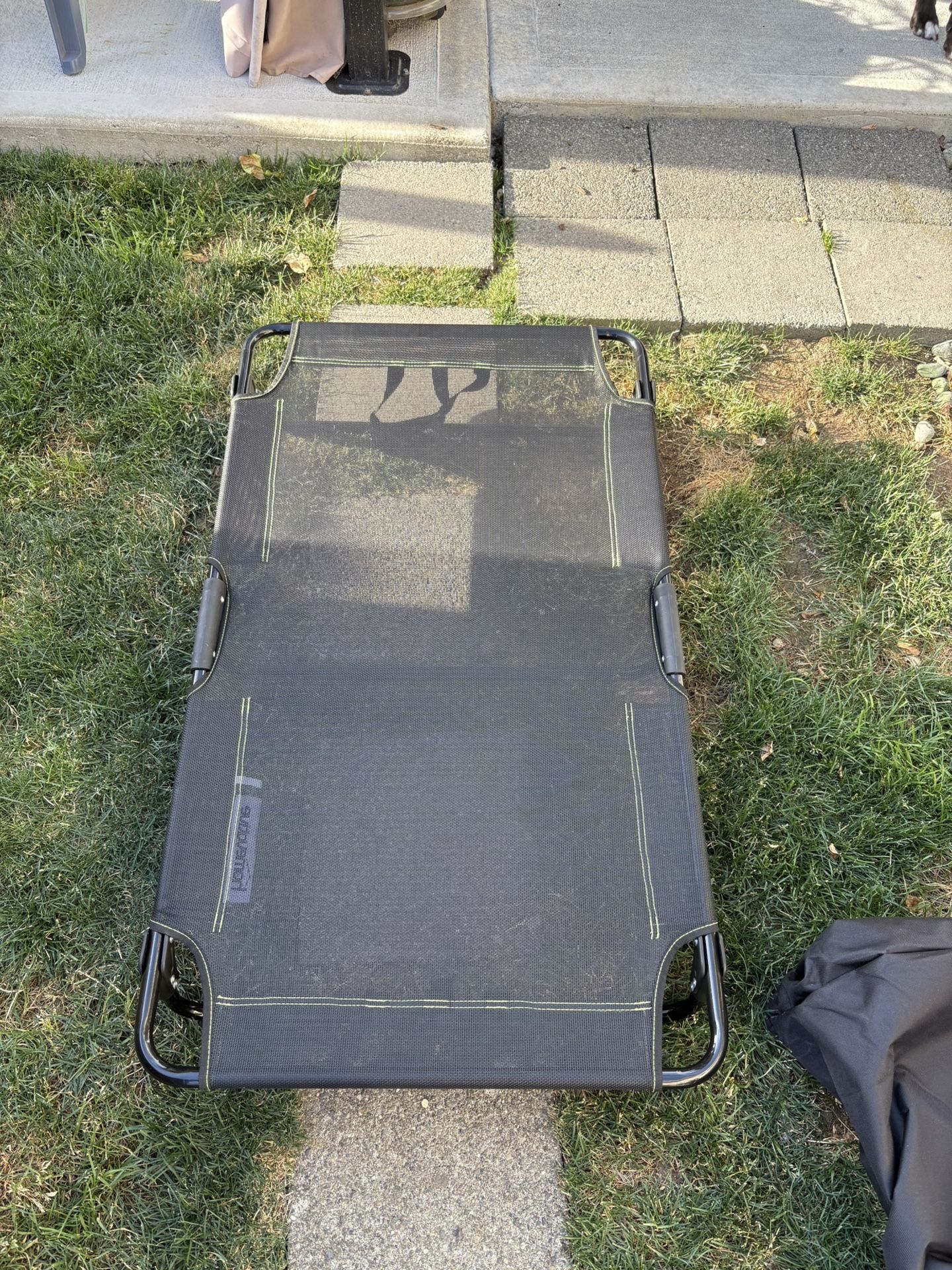 Homevative Folding Elevated Dog Bed