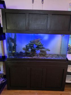 Fish Tank Rock Ornament