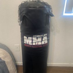 PUNCHING BAG MMA BAG
