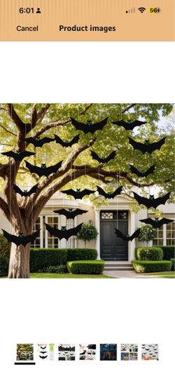 Hanging bats