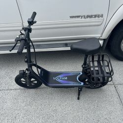 Electric Scooter