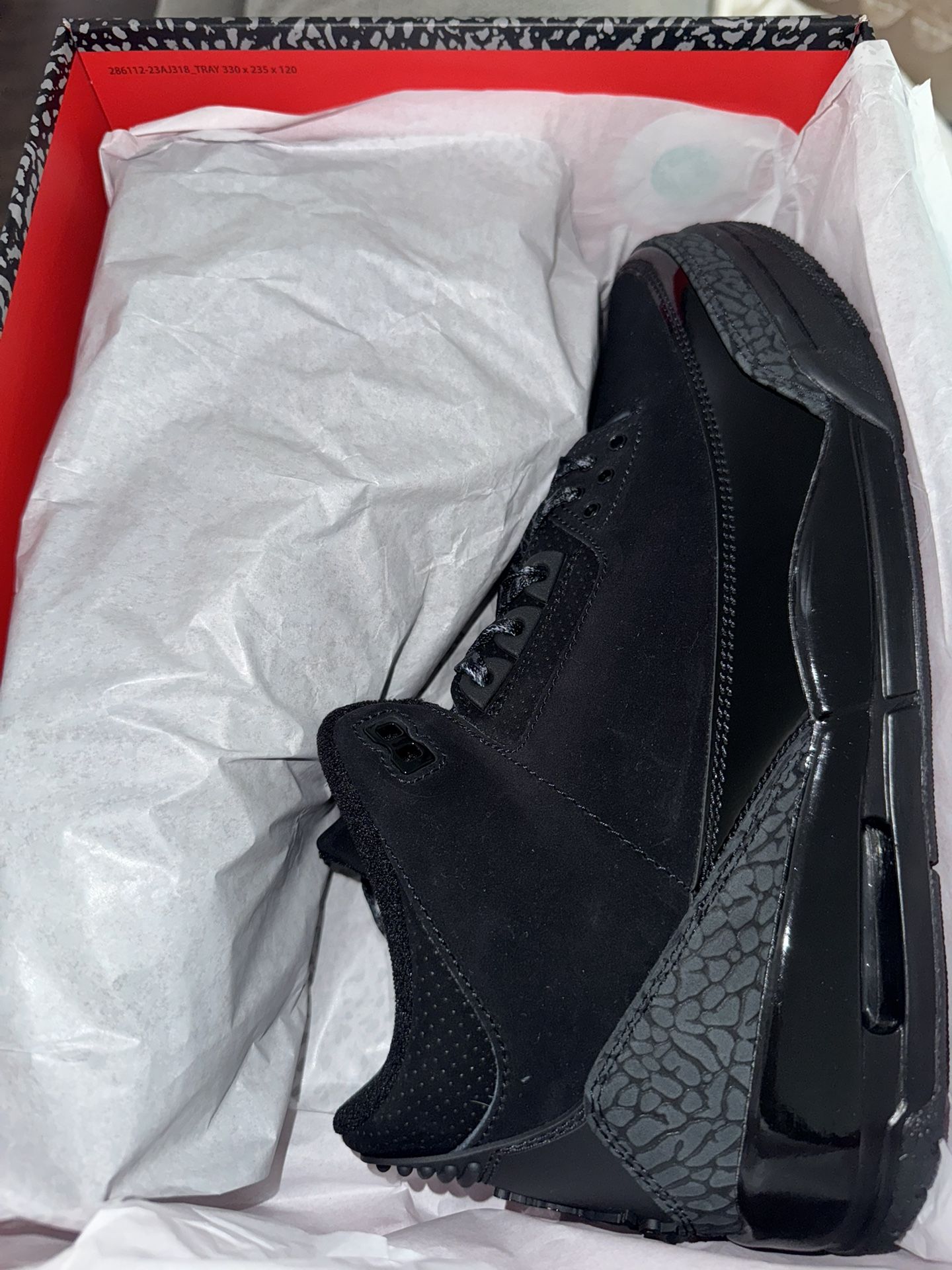 Retro 3 Black Cat