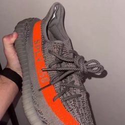 Yeezy Beluga Size 10.5