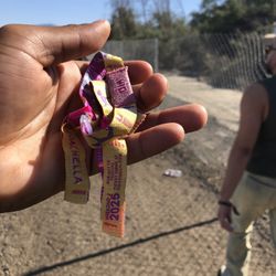 VIP W2 Coachella