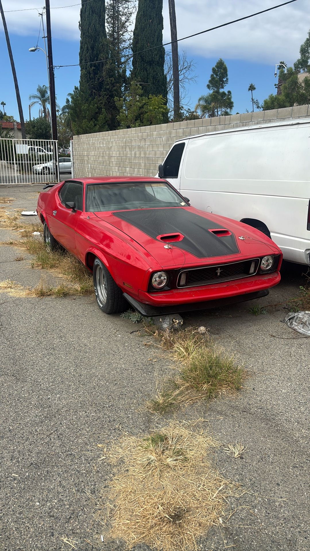Ford Mustang Mac-1