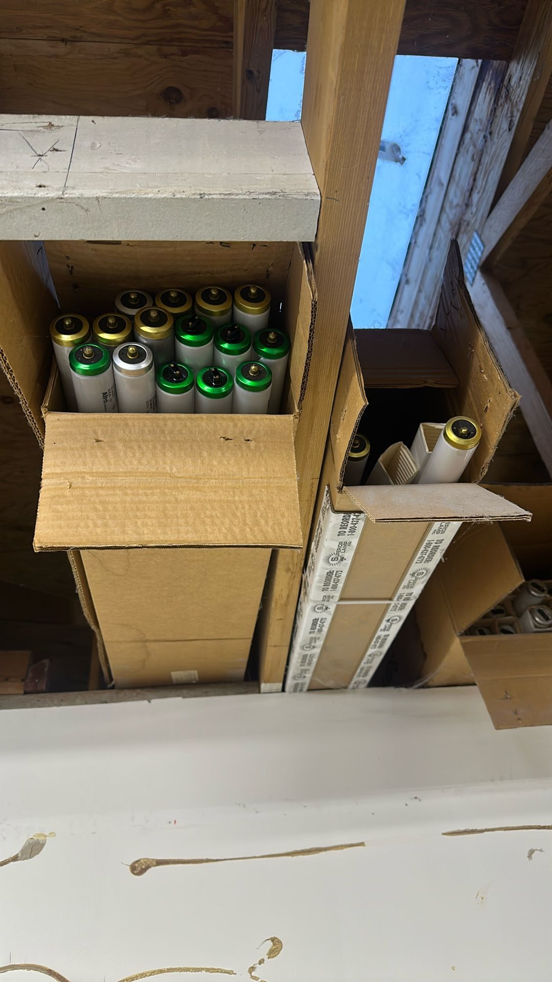 4ft fluorescent Bulbs