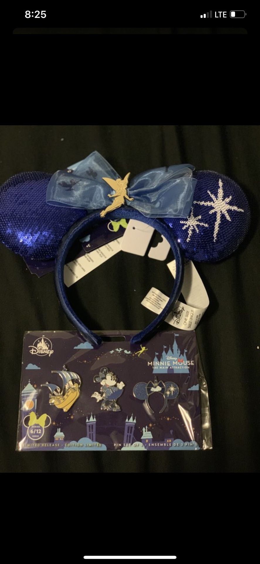 Disney ear and pin set