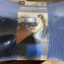 Back supporting pillow