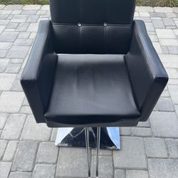 Hair Salon Chair